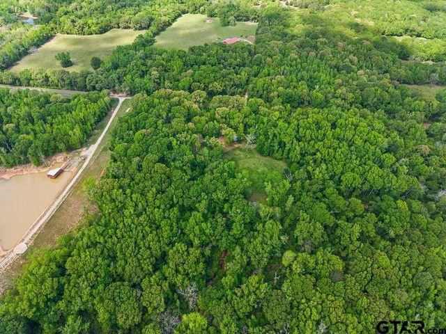 412 VZ COUNTY ROAD 4505, Ben Wheeler, TX 75754