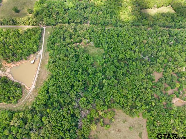 412 VZ COUNTY ROAD 4505, Ben Wheeler, TX 75754