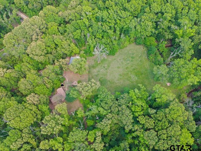 412 VZ COUNTY ROAD 4505, Ben Wheeler, TX 75754