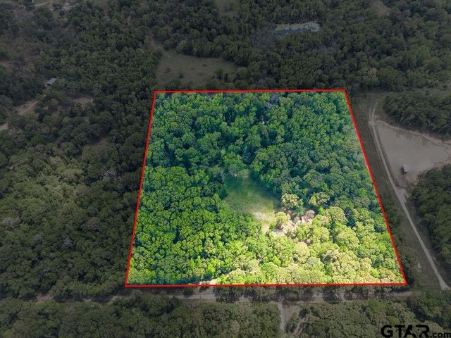 412 VZ COUNTY ROAD 4505, Ben Wheeler, TX 75754