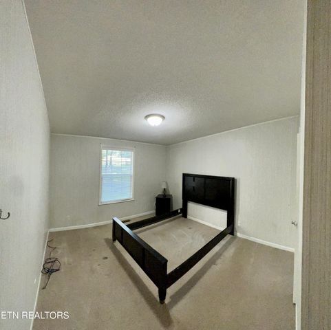 123` Doc Huling Rd, Robbins, TN 37852