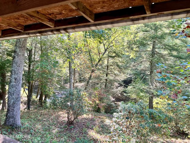 123` Doc Huling Rd, Robbins, TN 37852