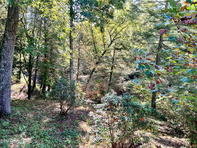 123` Doc Huling Rd, Robbins, TN 37852