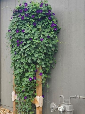 16804 Bradshaw Street, Overland Park, KS 66221