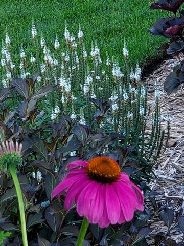 16804 Bradshaw Street, Overland Park, KS 66221