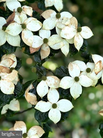 320 HARTSWICK AVE, State College, PA 16803