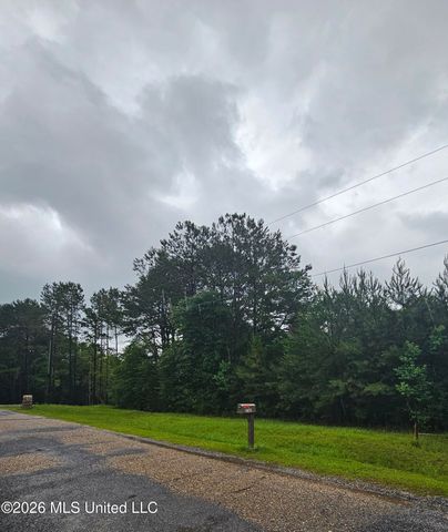 27400 E Lake Cypress Drive, Perkinston, MS 39573