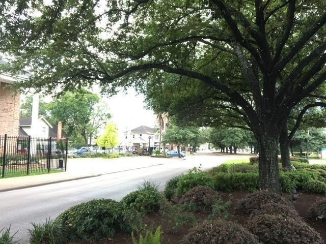2507 Montrose Boulevard 24, Houston, TX 77006