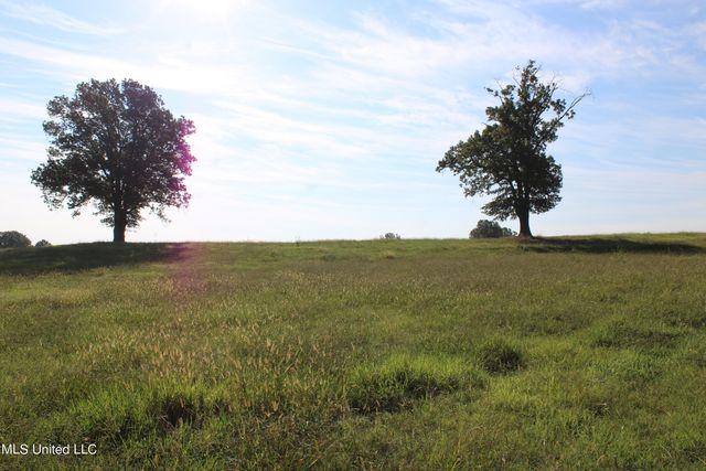 460 Myers Road, Byhalia, MS 38611