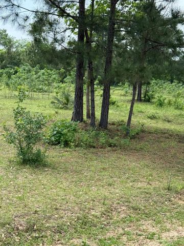 0000 Denson Reed Road, Cleveland, TX 77328