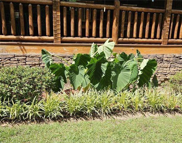 250 Moore Meadow Drive, Georgetown, GA 39854