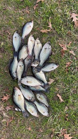 250 Moore Meadow Drive, Georgetown, GA 39854