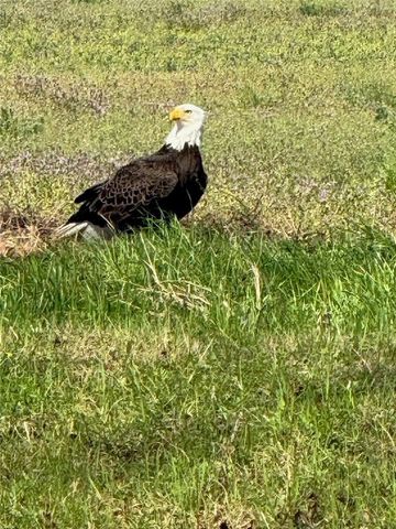 250 Moore Meadow Drive, Georgetown, GA 39854