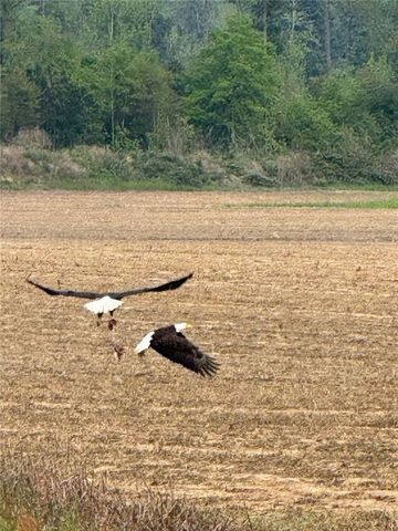 250 Moore Meadow Drive, Georgetown, GA 39854