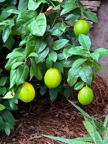 250 Moore Meadow Drive, Georgetown, GA 39854