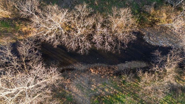 4824 Leipers Creek Road, Williamsport, TN 38487