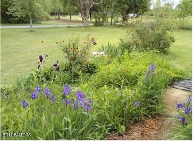 1894 Paint Rock Valley Rd, Philadelphia, TN 37846