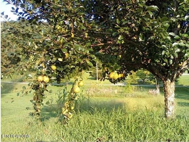 1894 Paint Rock Valley Rd, Philadelphia, TN 37846