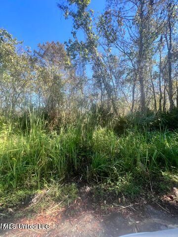 Cochran Avenue, Moss Point, MS 39562