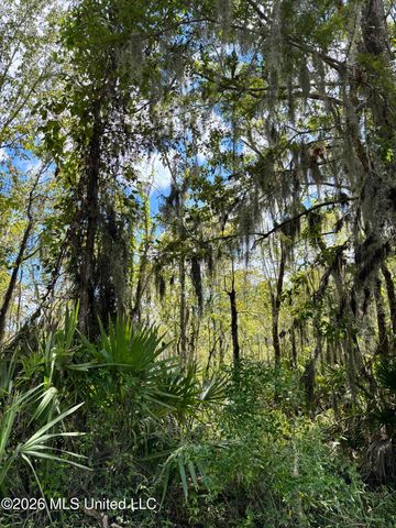 Cochran Avenue, Moss Point, MS 39562