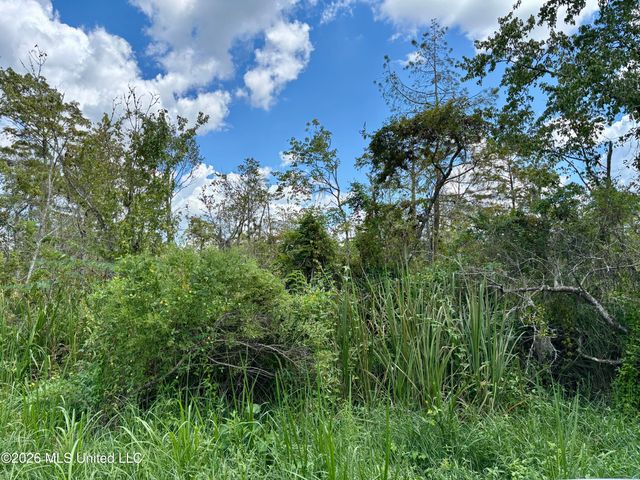 Cochran Avenue, Moss Point, MS 39562