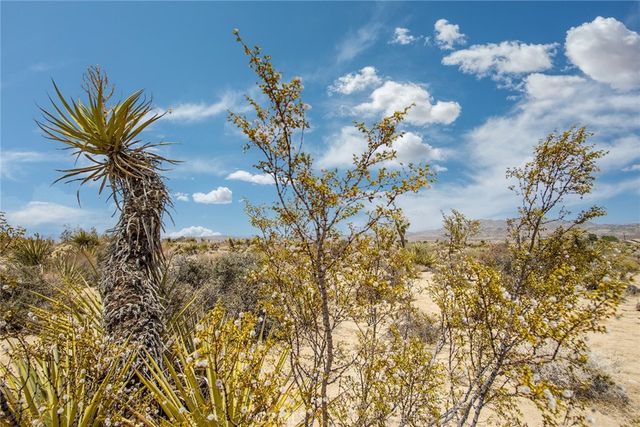 61246 Melton Trail, Joshua Tree, CA 92252