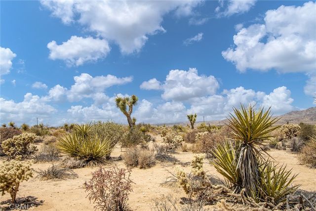 61246 Melton Trail, Joshua Tree, CA 92252
