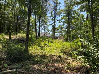 TBD Pinehurst Drive, Bella Vista, AR 72715