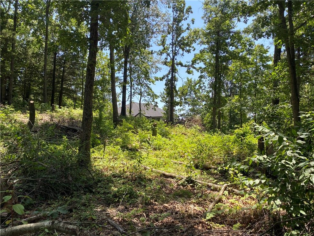 TBD Pinehurst Drive, Bella Vista, AR 72715