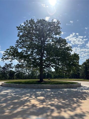 216 Hidden Oak Drive, Hockley, TX 77447