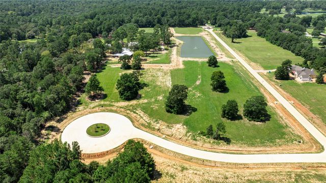 216 Hidden Oak Drive, Hockley, TX 77447