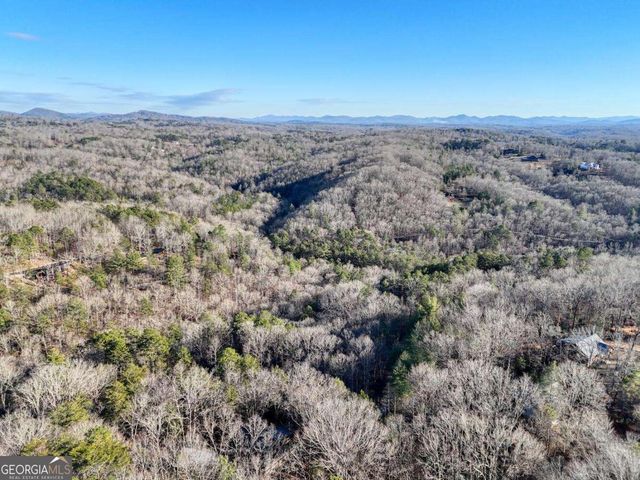 250 Wolf Creek Circle, Mineral Bluff, GA 30559