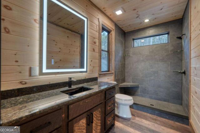 250 Wolf Creek Circle, Mineral Bluff, GA 30559