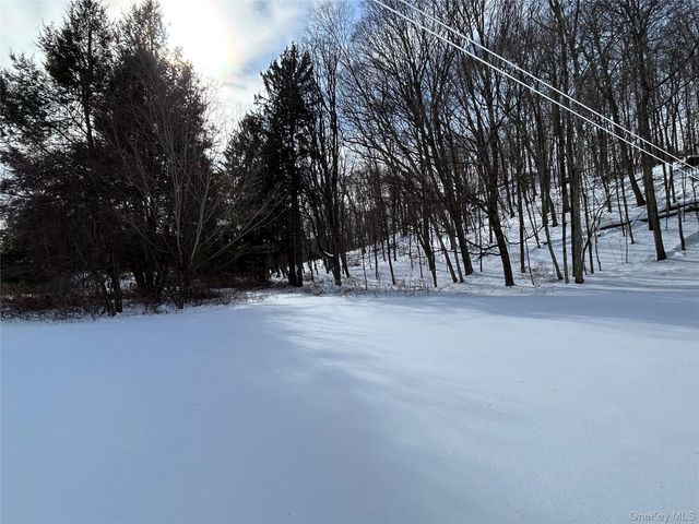 113 Dog Tail Corners Road, Wingdale, NY 12594