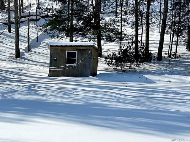 113 Dog Tail Corners Road, Wingdale, NY 12594