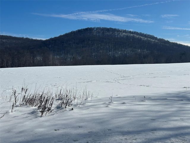 113 Dog Tail Corners Road, Wingdale, NY 12594