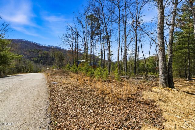 Lot 3 Mountain Ash Way, Sevierville, TN 37876