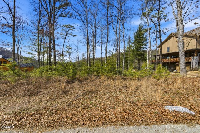 Lot 3 Mountain Ash Way, Sevierville, TN 37876