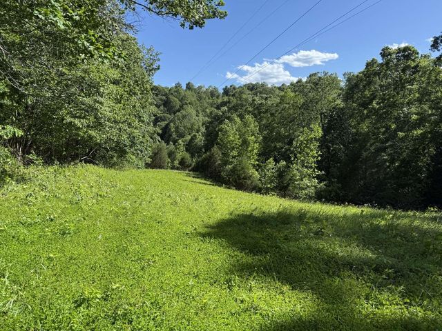 1111 Dudley Branham Road, Burkesville, KY 42717