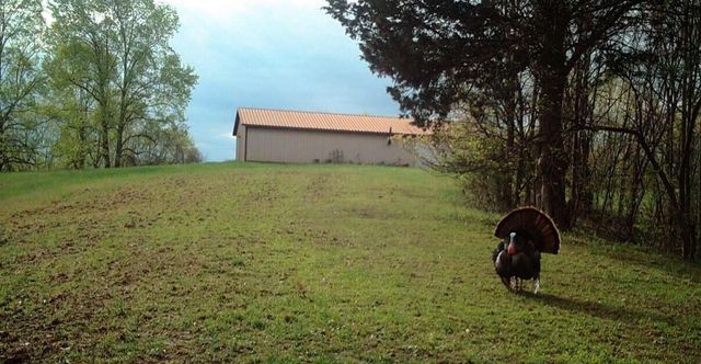 1111 Dudley Branham Road, Burkesville, KY 42717