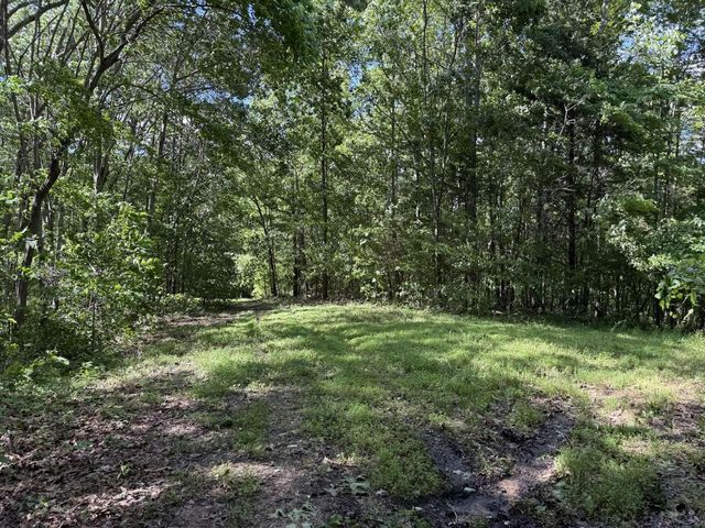 1111 Dudley Branham Road, Burkesville, KY 42717