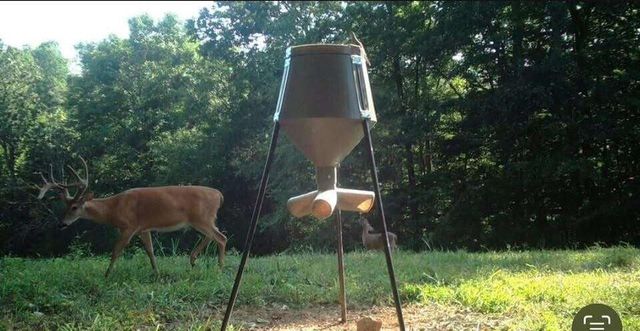 1111 Dudley Branham Road, Burkesville, KY 42717