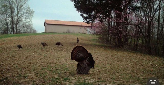 1111 Dudley Branham Road, Burkesville, KY 42717