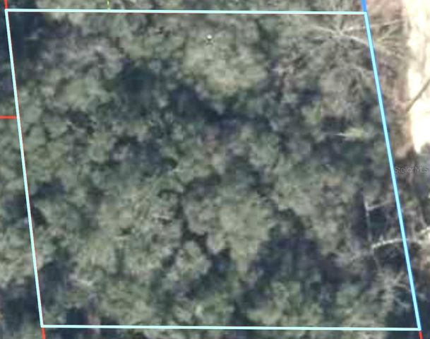 230 SE 194 TERRACE, Williston, FL 32696