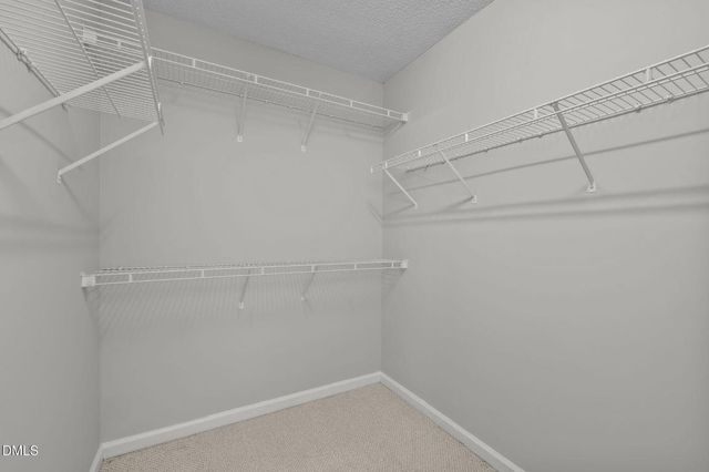 218 Longbridge Drive, Cary, NC 27518