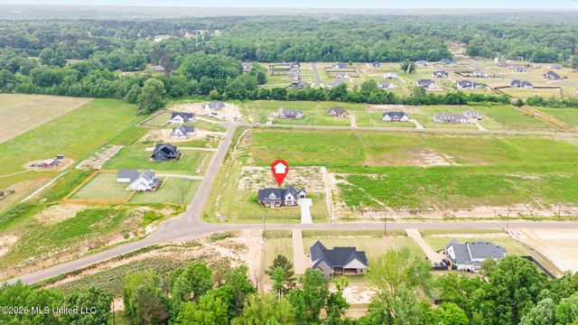 2401 Lauren Way, Hernando, MS 38632