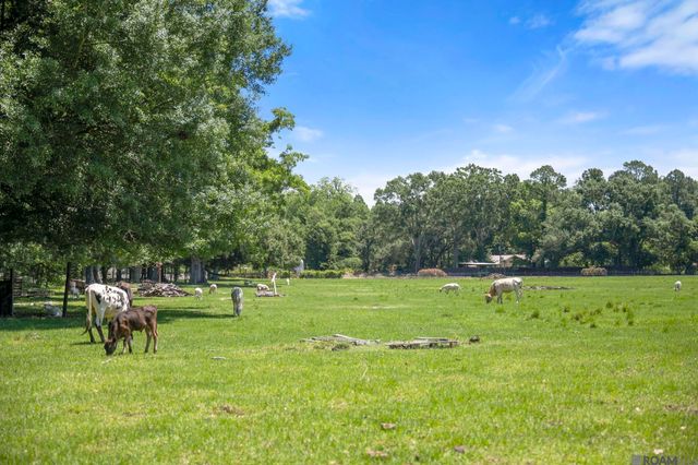 5474 Bayou Paul Rd, St Gabriel, LA 70776