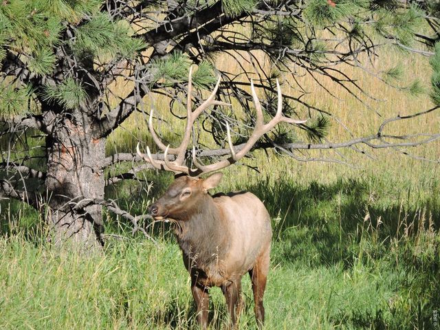 2074 Foothills Dr S, Golden, CO 80401