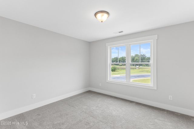 3216 Beaus Drive, Castle Hayne, NC 28429