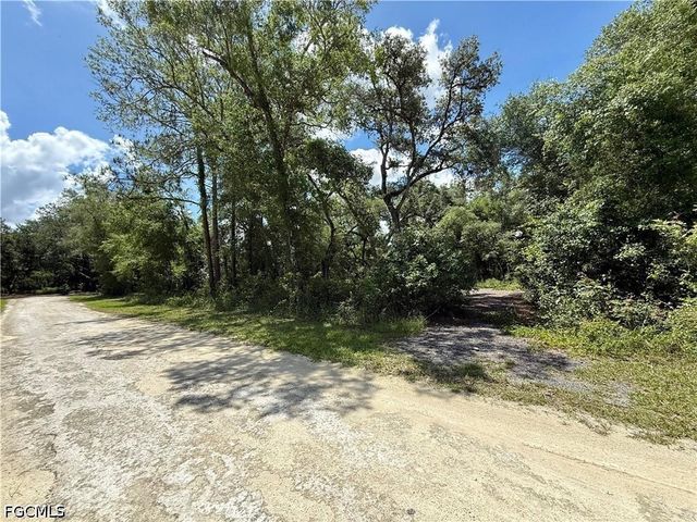 Lot 10 Long CIR, Webster, FL 33597
